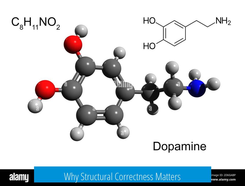 Why Structural Correctness Matters