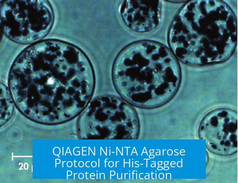 QIAGEN Ni-NTA Agarose Protocol for His-Tagged Protein Purification