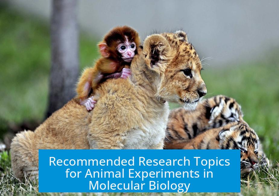 Recommended Research Topics for Animal Experiments in Molecular Biology