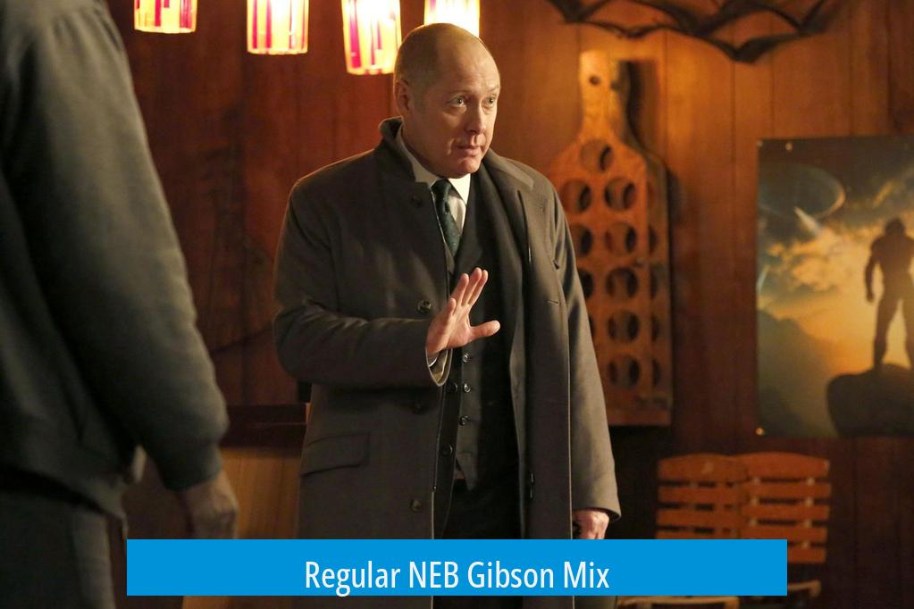 Regular NEB Gibson Mix