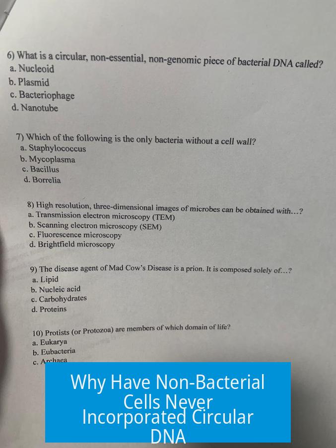 Why Have Non-Bacterial Cells Never Incorporated Circular DNA?