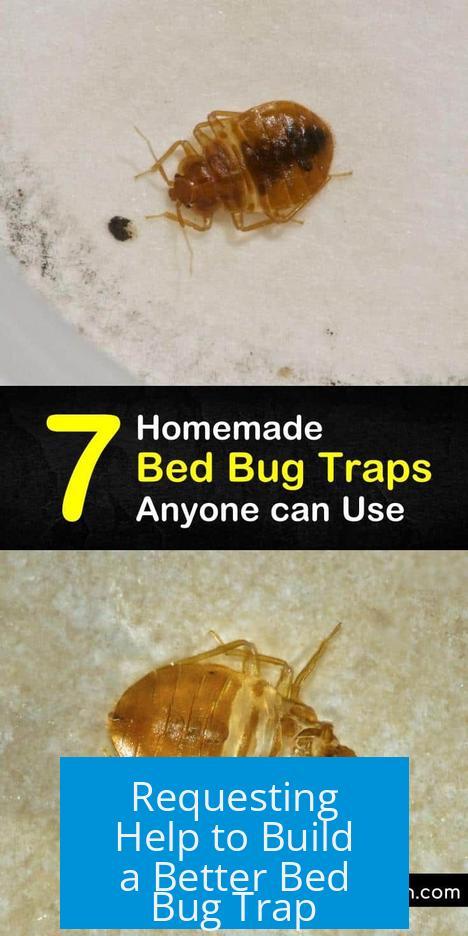 Requesting Help to Build a Better Bed Bug Trap