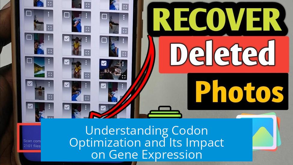 Understanding Codon Optimization and Its Impact on Gene Expression