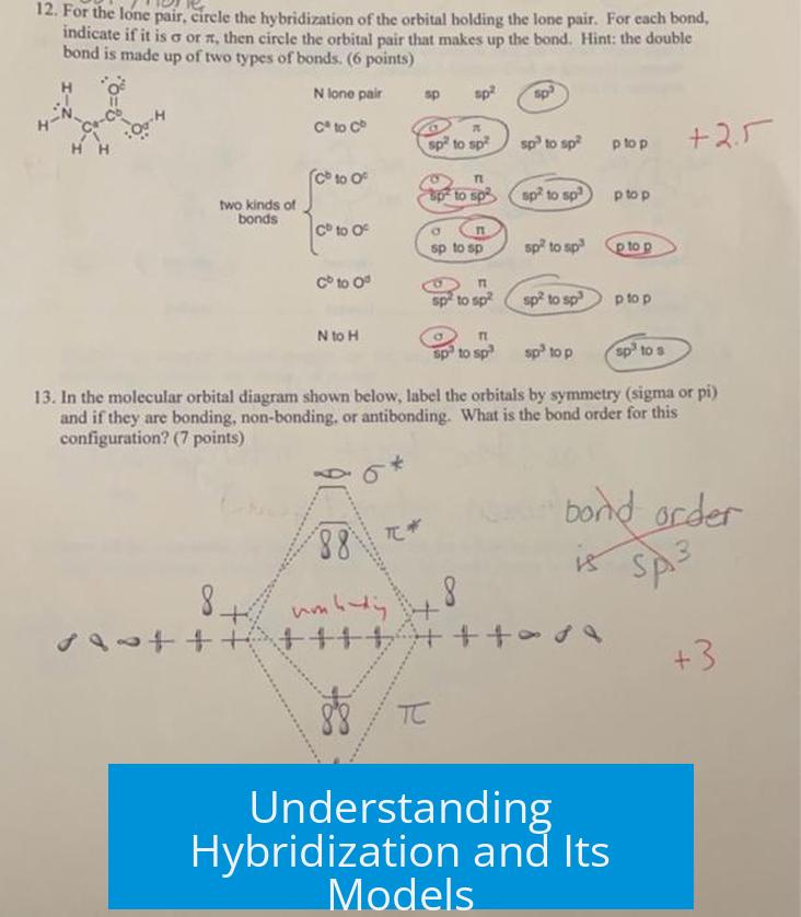 Understanding Hybridization and Its Models