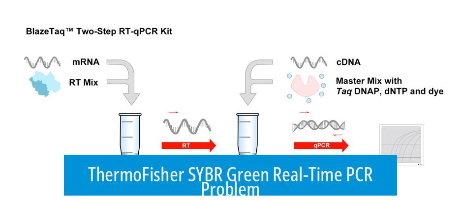 ThermoFisher SYBR Green Real-Time PCR Problem