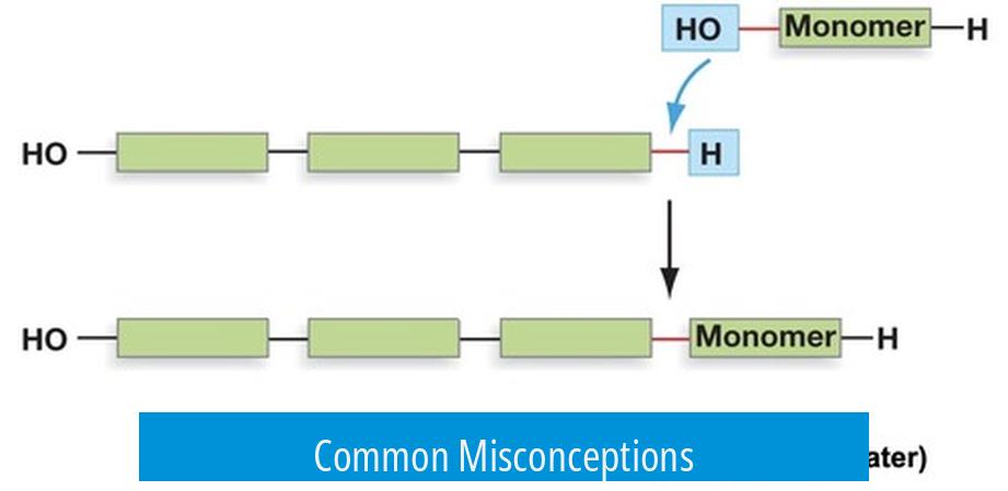 Common Misconceptions
