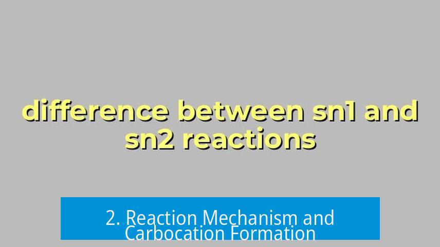 2. Reaction Mechanism and Carbocation Formation