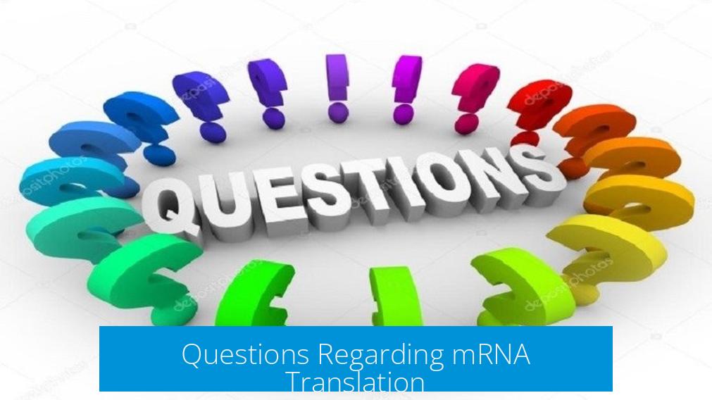 Questions Regarding mRNA Translation