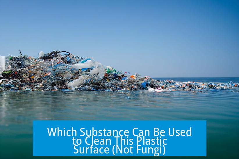 Which Substance Can Be Used to Clean This Plastic Surface (Not Fungi)?