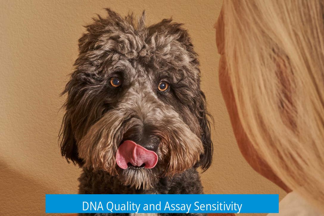 DNA Quality and Assay Sensitivity