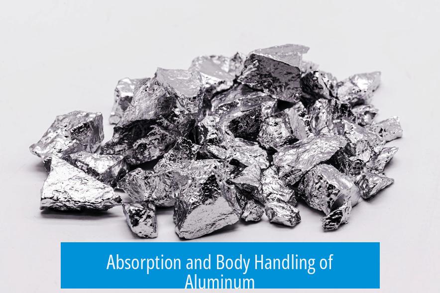 Absorption and Body Handling of Aluminum