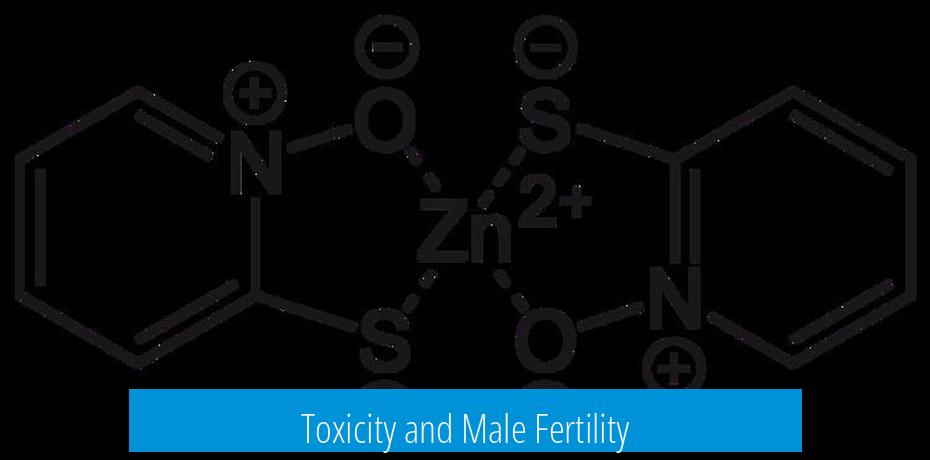 Toxicity and Male Fertility