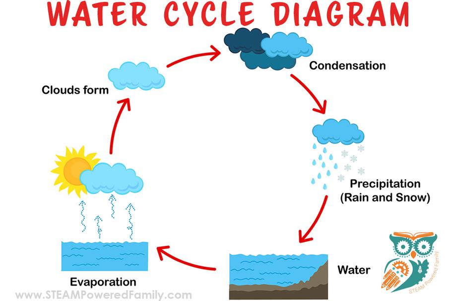 Air is a mixture of gases, primarily nitrogen (~78%) and oxygen (~21%), with water vapor present in variable amounts. The water vapor remains in gas form under typical conditions, contributing to natural processes and climate dynamics.