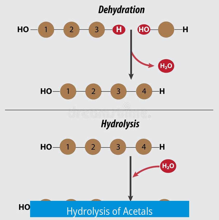 Hydrolysis of Acetals