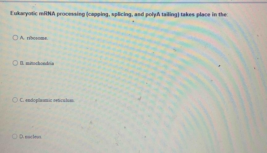 4. Splicing Occurs Co- and Post-Transcriptionally