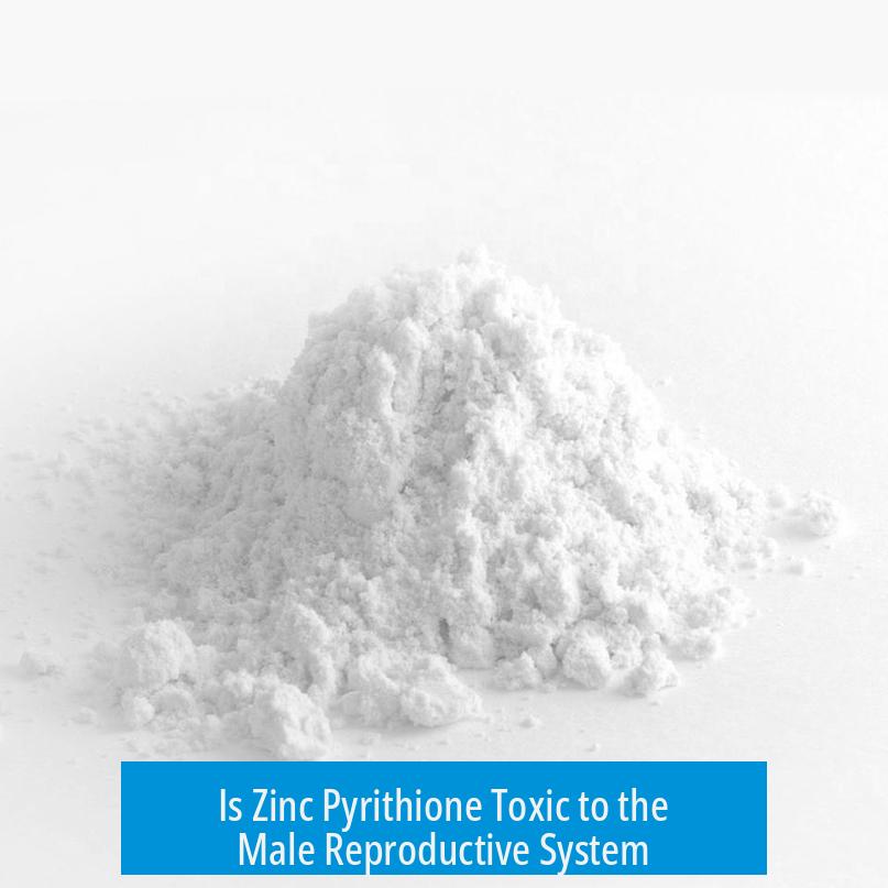 Is Zinc Pyrithione Toxic to the Male Reproductive System?