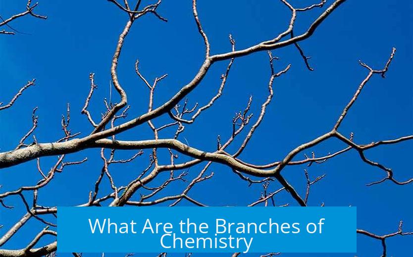 What Are the Branches of Chemistry?