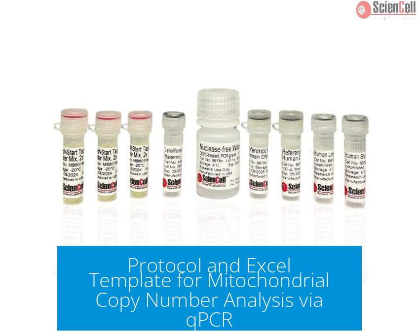 Protocol and Excel Template for Mitochondrial Copy Number Analysis via qPCR
