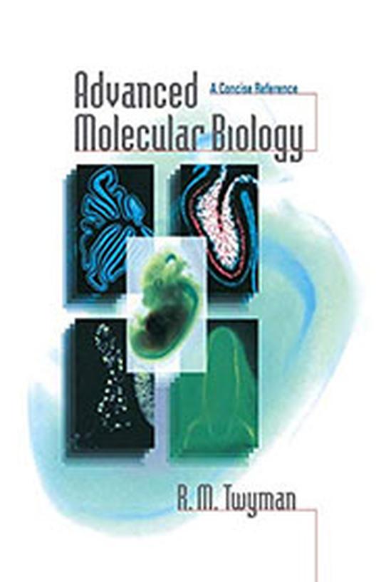 Preferences often relate to initial exposure during academic training. Alberts is the primary recommendation for its comprehensive and clear presentation. Lodish serves a backup role, offering alternative explanations and occasionally better coverage on specific topics. This complementary usage reflects the value of multiple viewpoints in mastering molecular biology.