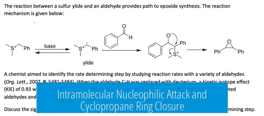 Intramolecular Nucleophilic Attack and Cyclopropane Ring Closure