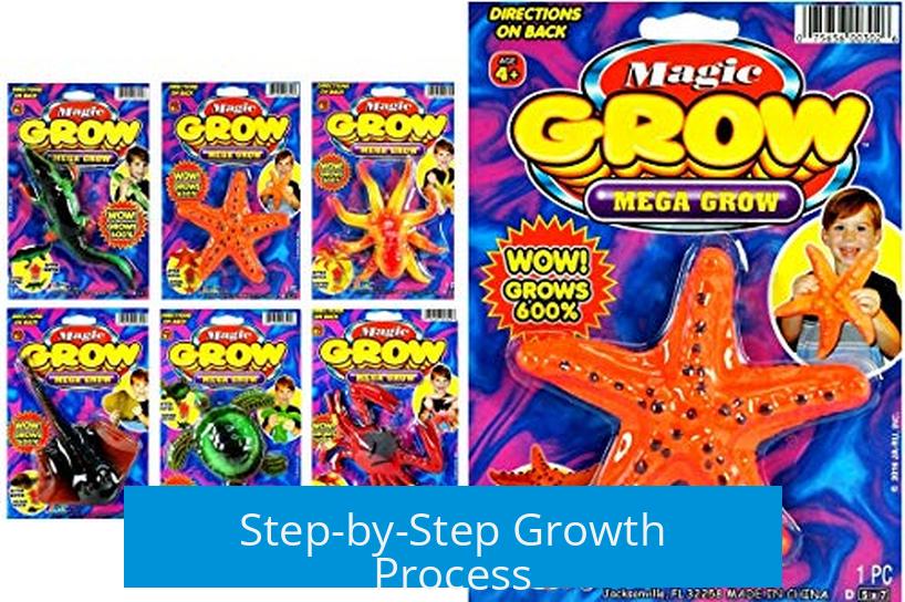 Step-by-Step Growth Process