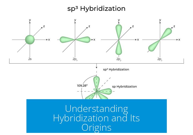 Understanding Hybridization and Its Origins