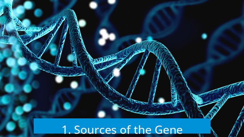 1. Sources of the Gene