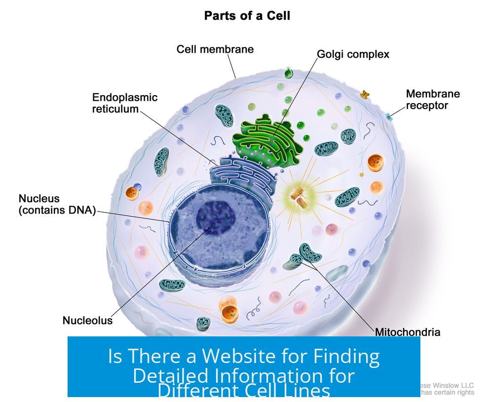 Is There a Website for Finding Detailed Information for Different Cell Lines?