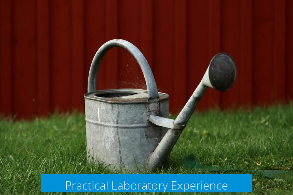Practical Laboratory Experience