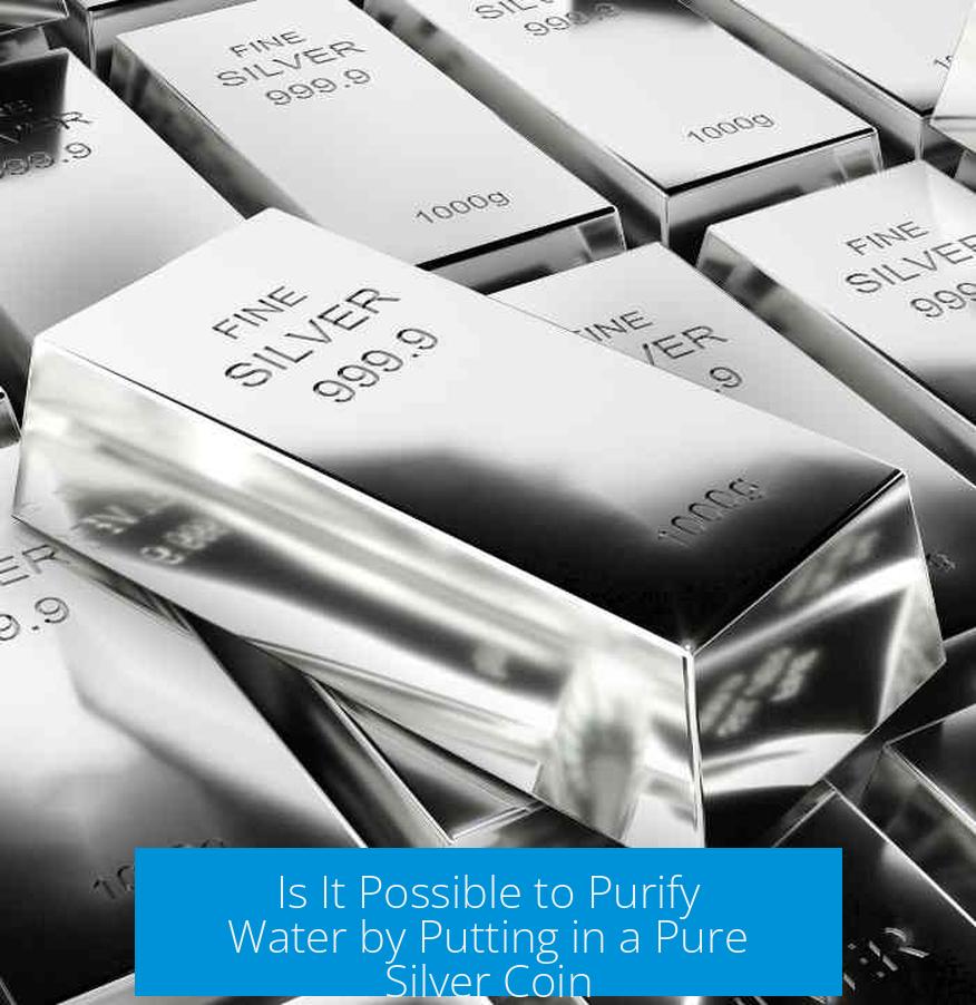 Is It Possible to Purify Water by Putting in a Pure Silver Coin?