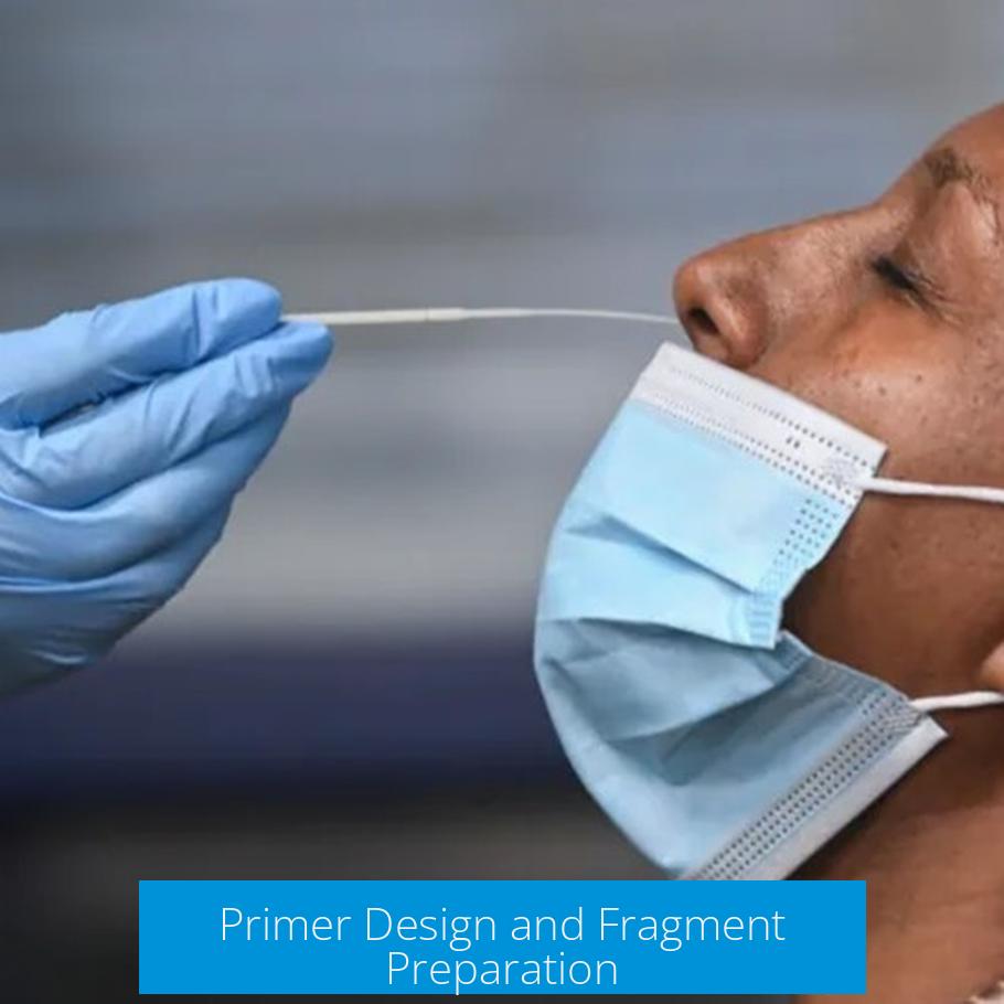 Primer Design and Fragment Preparation
