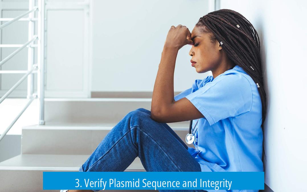 3. Verify Plasmid Sequence and Integrity