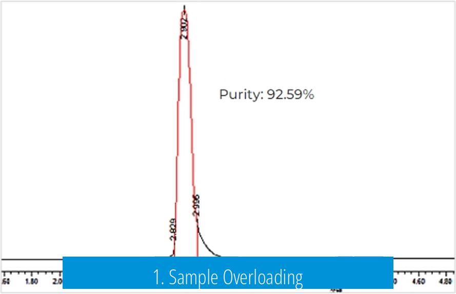 1. Sample Overloading