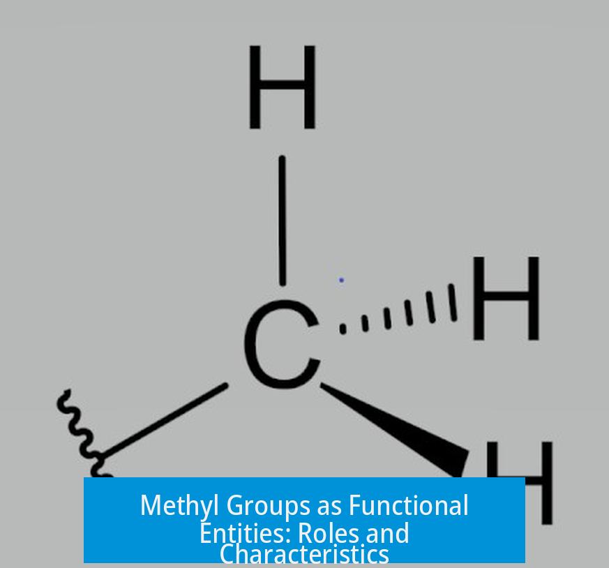 Methyl Groups as Functional Entities: Roles and Characteristics