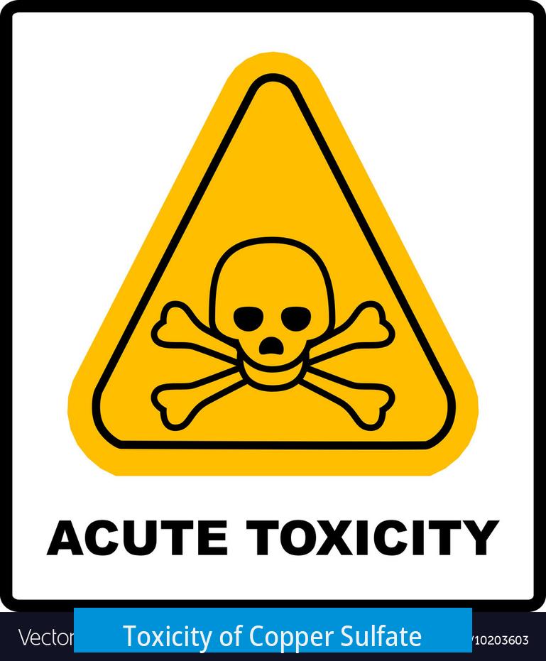 Toxicity of Copper Sulfate