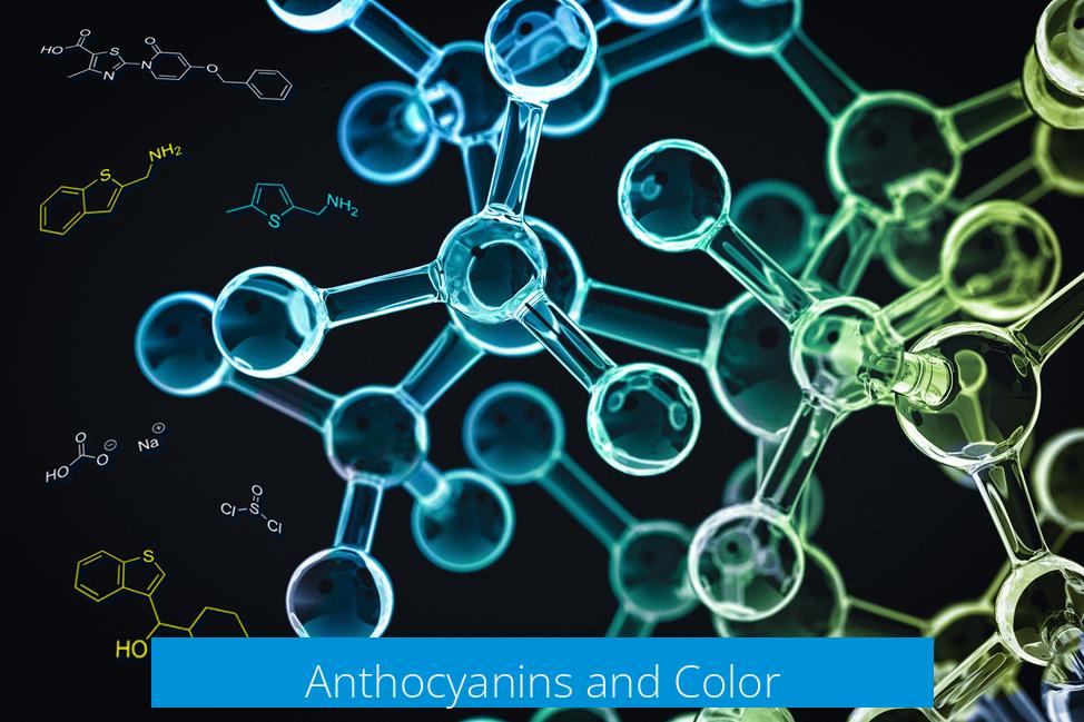 Anthocyanins and Color