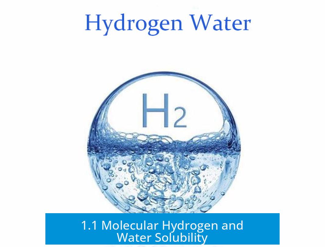 1.1 Molecular Hydrogen and Water Solubility