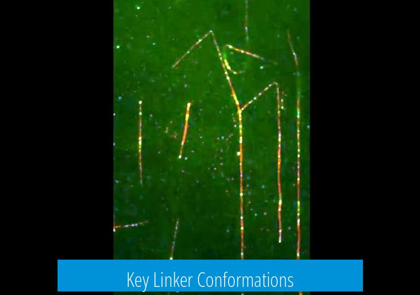 Key Linker Conformations