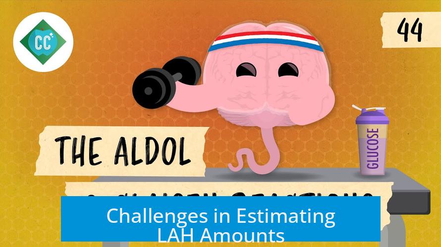Challenges in Estimating LAH Amounts