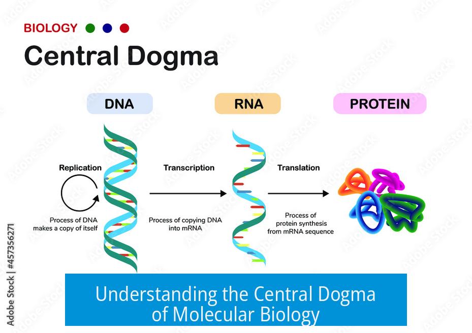 Understanding the Central Dogma of Molecular Biology