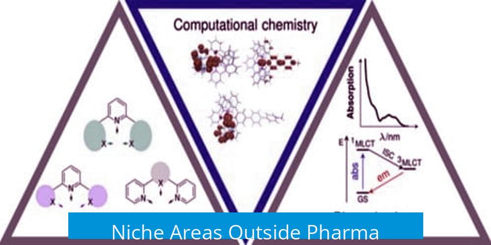 Niche Areas Outside Pharma