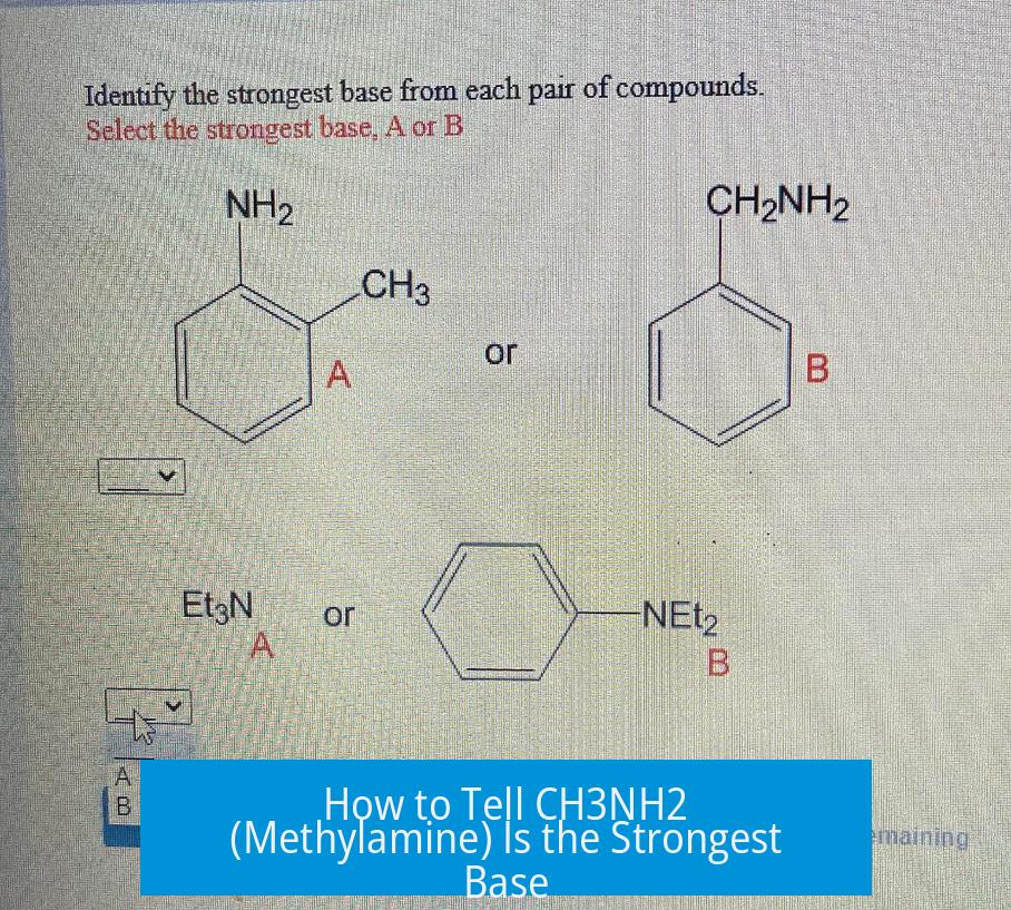 How to Tell CH3NH2 (Methylamine) Is the Strongest Base