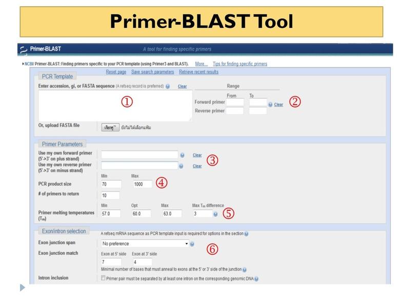 The NCBI Primer-BLAST is a widely recommended tool for primer specificity checking. It allows users to input primer sequences and search for potential off-target binding sites in genomic databases.