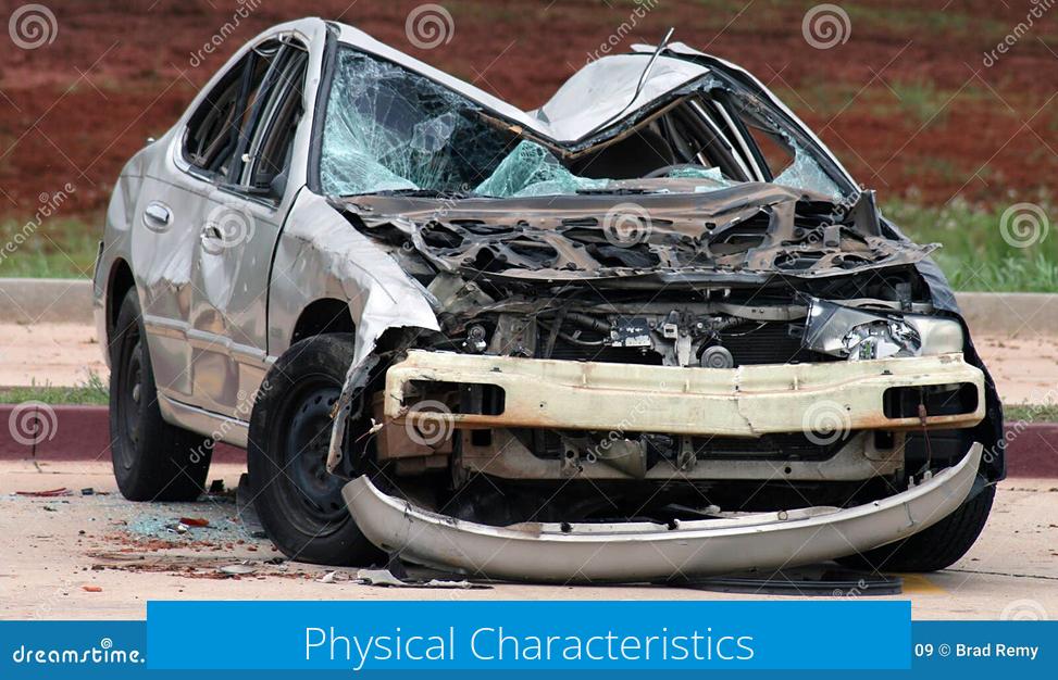 Physical Characteristics