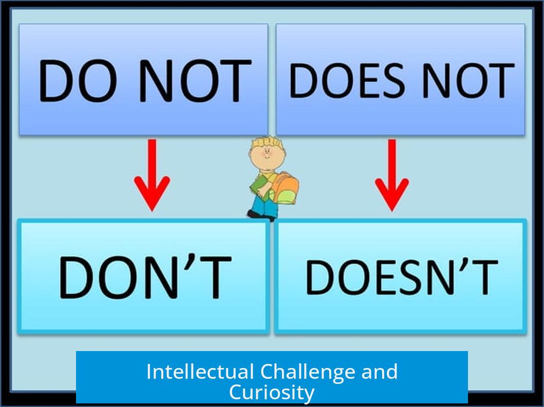 Intellectual Challenge and Curiosity