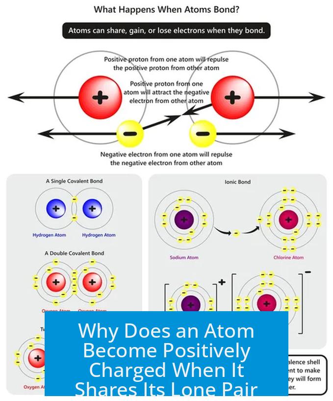 Why Does an Atom Become Positively Charged When It Shares Its Lone Pair?