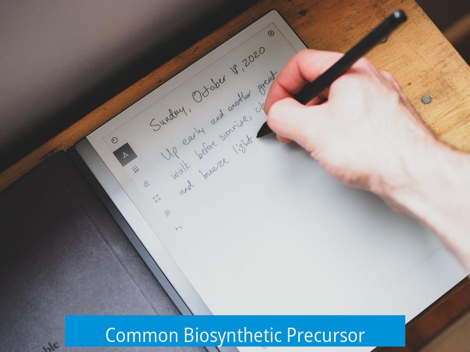 Common Biosynthetic Precursor