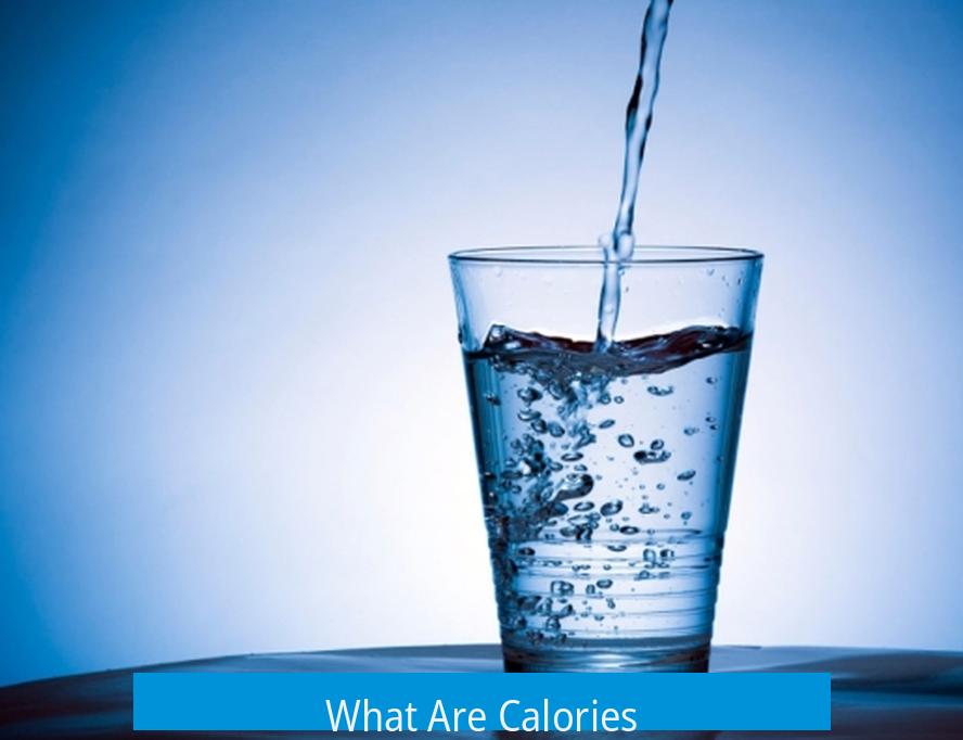 What Are Calories?