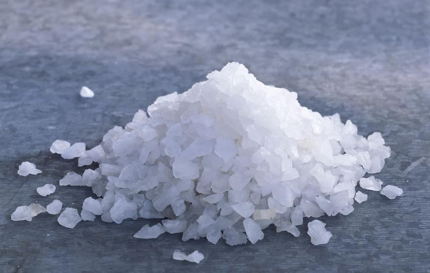 Food Industry Applications