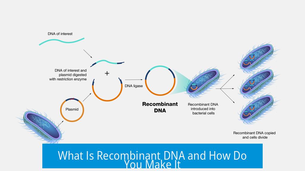 What Is Recombinant DNA and How Do You Make It?
